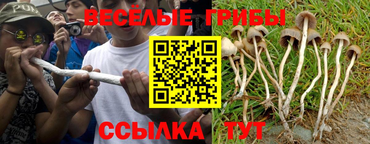 Галлюциногенные грибы мицелий Уфа