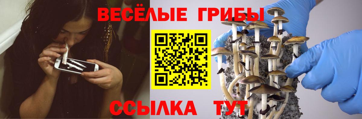 Галлюциногенные грибы Magic Shrooms  Вход с VPN  Уфа 